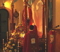 estola01